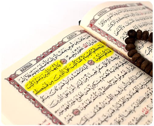 Tajweed-e-Quran Audio Visual Training