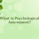 What-is-Psychological-Assessment