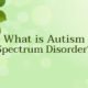 Autism Spectrum Disorder