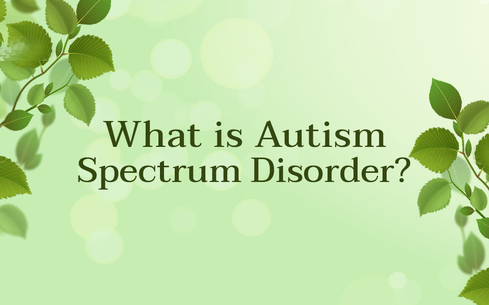 Autism Spectrum Disorder