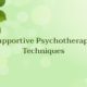 supportive psychotherapy and techniques